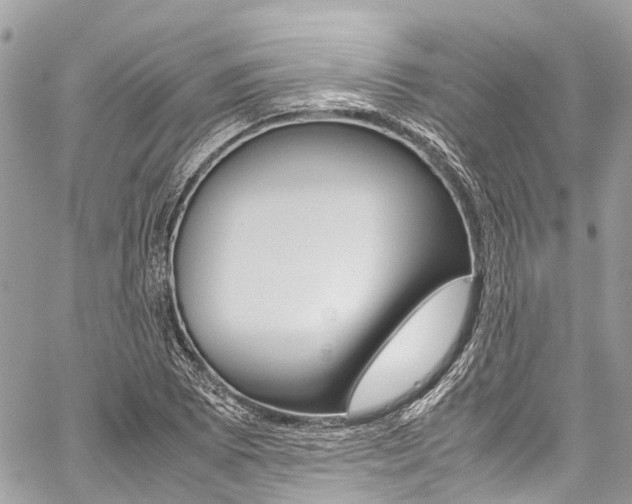 X0000059811073200510210916