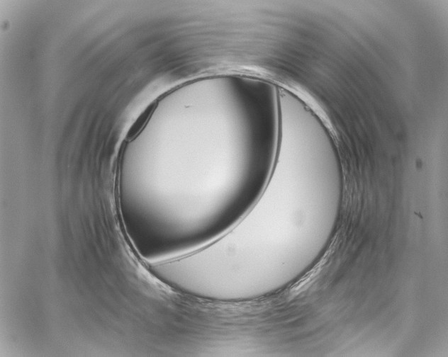 X0000059811102200510210916