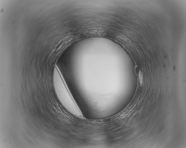 X0000059811107200510210915