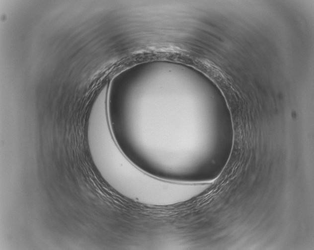 X0000059811110200510210915