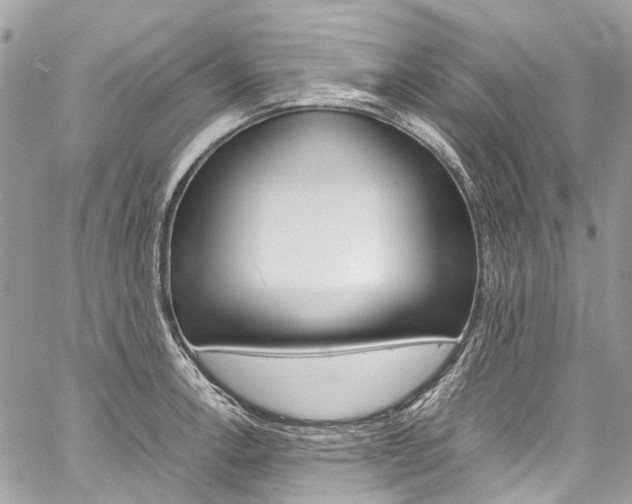 X0000059811138200510210915