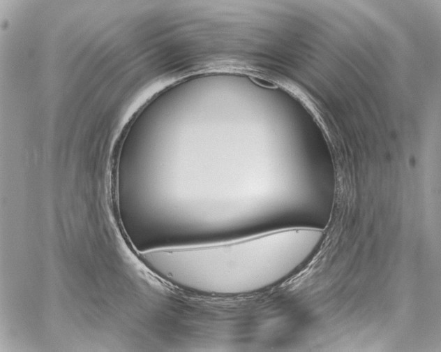 X0000059811147200510210915