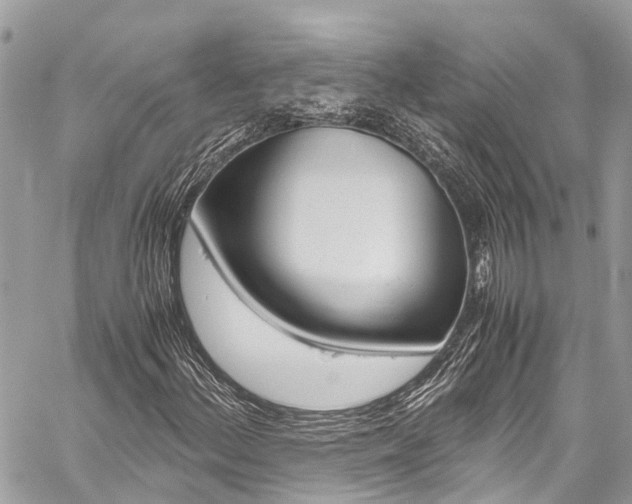 X0000059811156200510210915