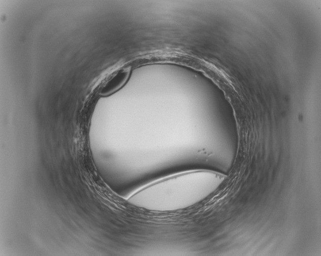 X0000059811160200510210915