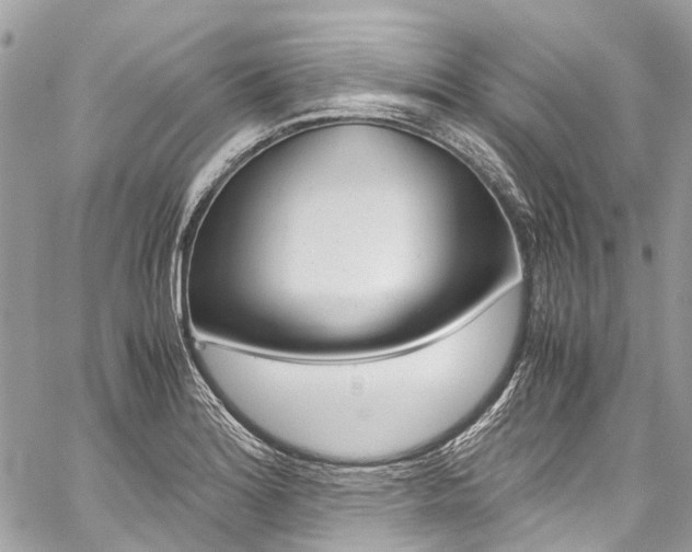 X0000059811180200510210914