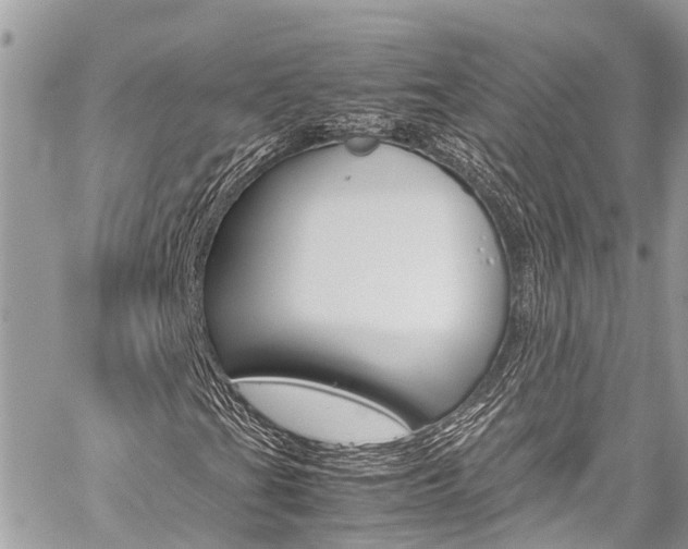 X0000059811201200510210913