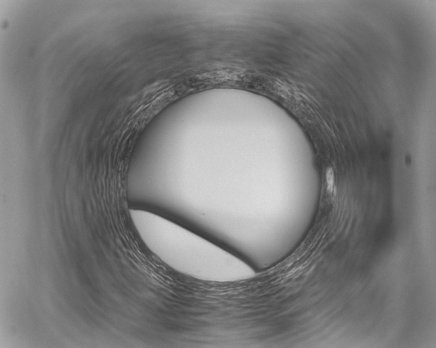 X0000059811203200510210913