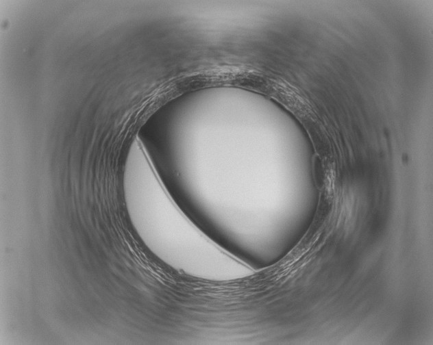 X0000059811204200510210913