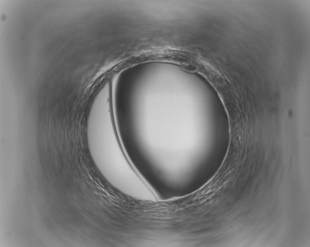 X0000059811206200510210913