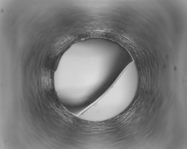 X0000059811252200510210913