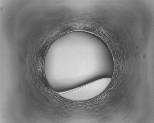 X0000059811253200510210913