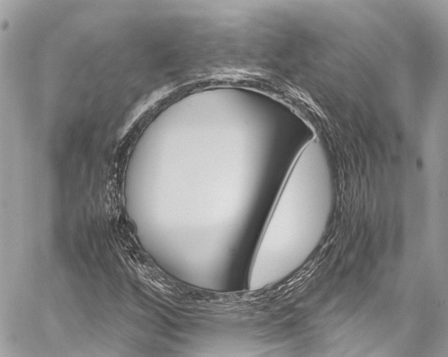X0000059811256200510210913