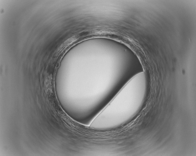 X0000059811265200510210913
