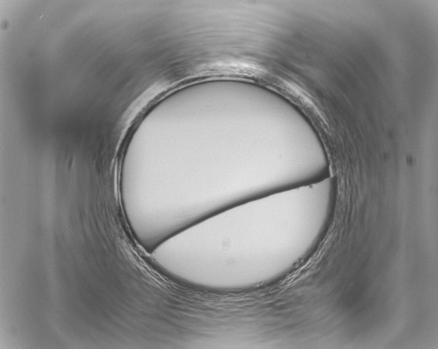 X0000059811275200510210913