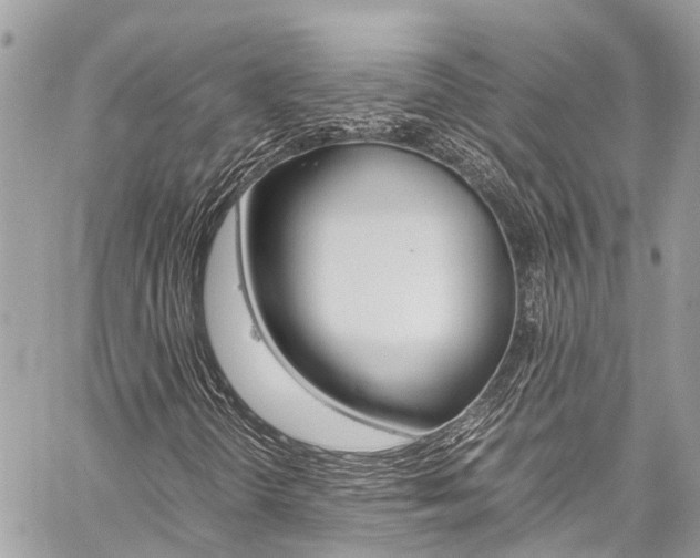 X0000059811298200510210912