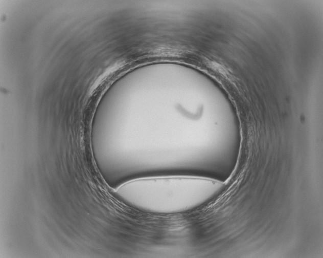 X0000059811307200510210912