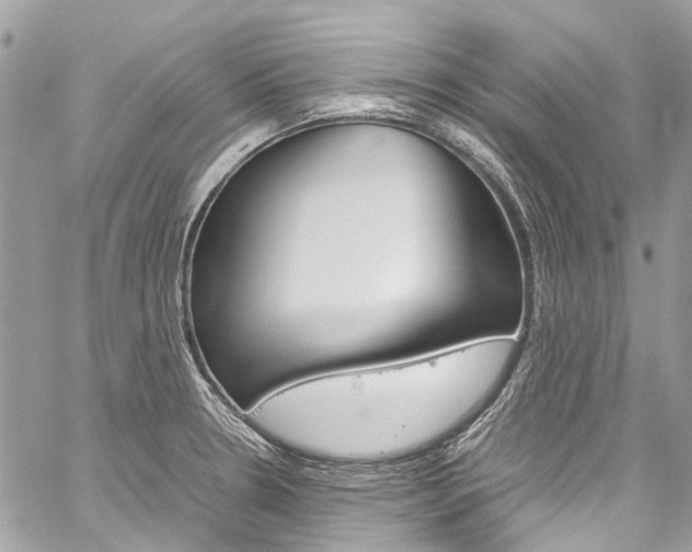 X0000059811330200510210912