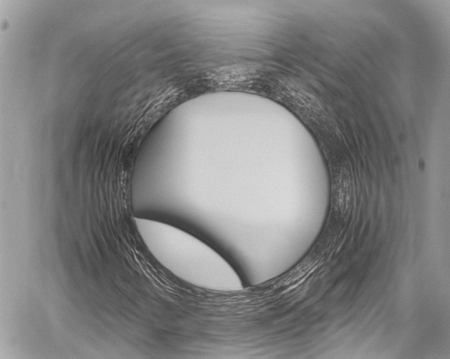 X0000059811346200510210912