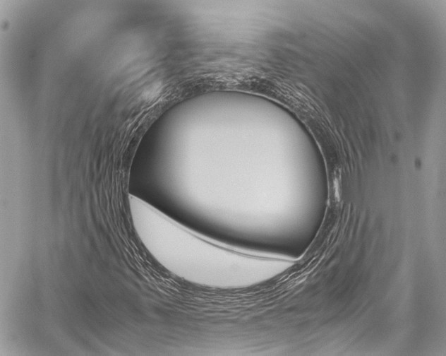 X0000059811347200510210912
