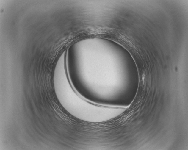 X0000059811348200510210912