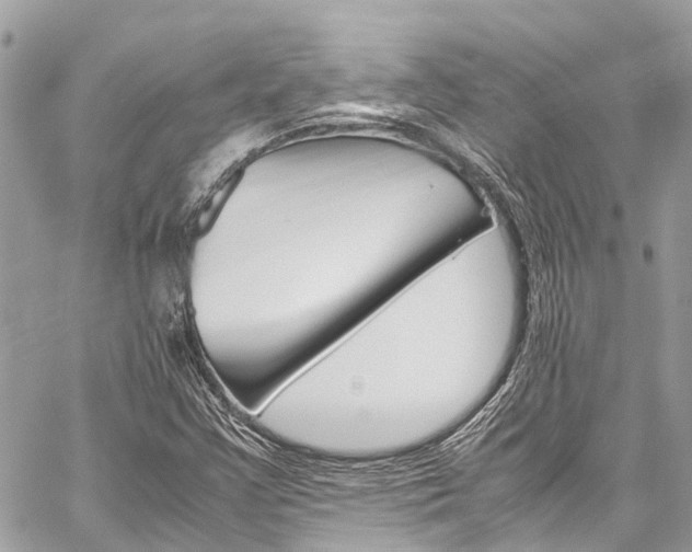 X0000059811355200510210911