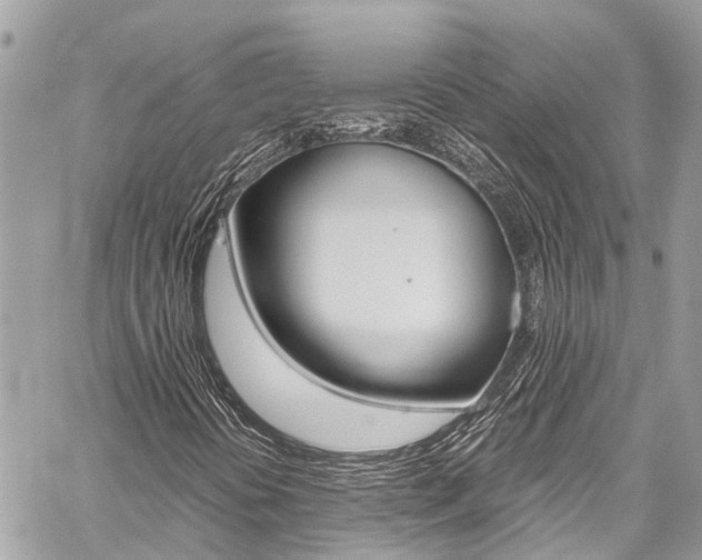 X0000059811394200510210910