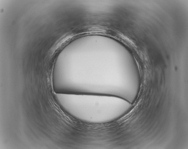 X0000059811407200510210910