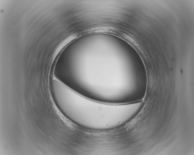 X0000059811426200510210911