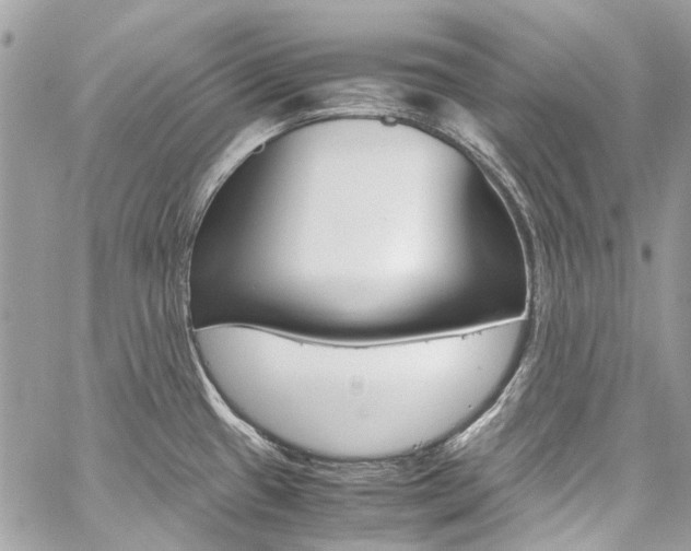X0000059811433200510210911
