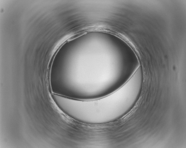X0000059811434200510210911