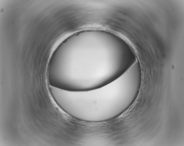 X0000059811440200510210911