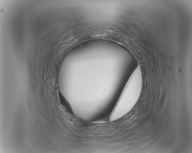 X0000059811441200510210910