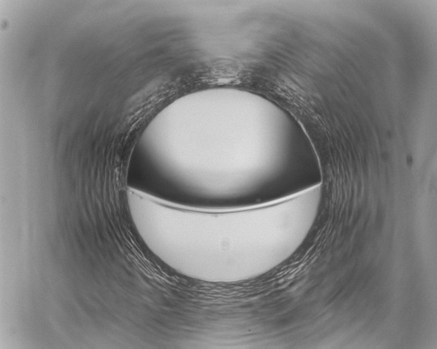 X0000059811442200510210910