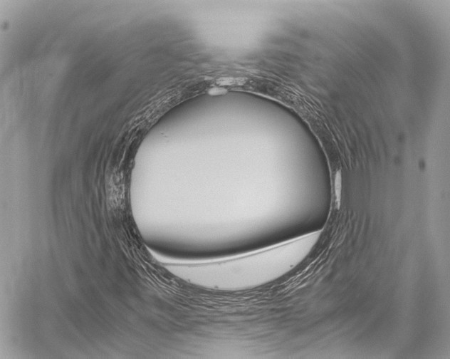 X0000059811443200510210910