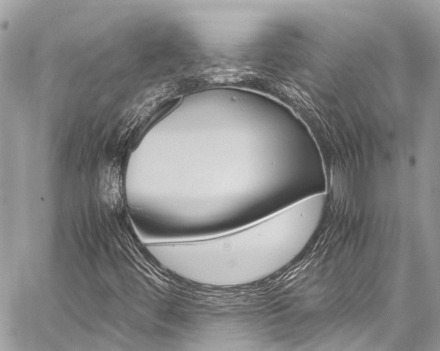 X0000059811444200510210910