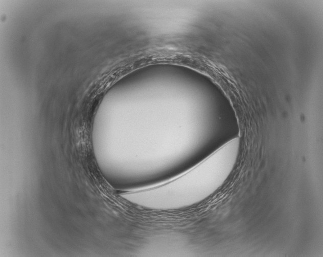X0000059811445200510210910