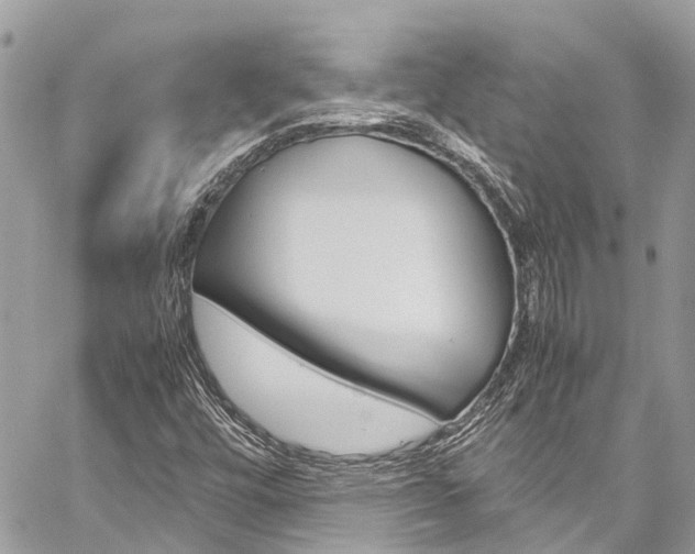 X0000059811448200510210910