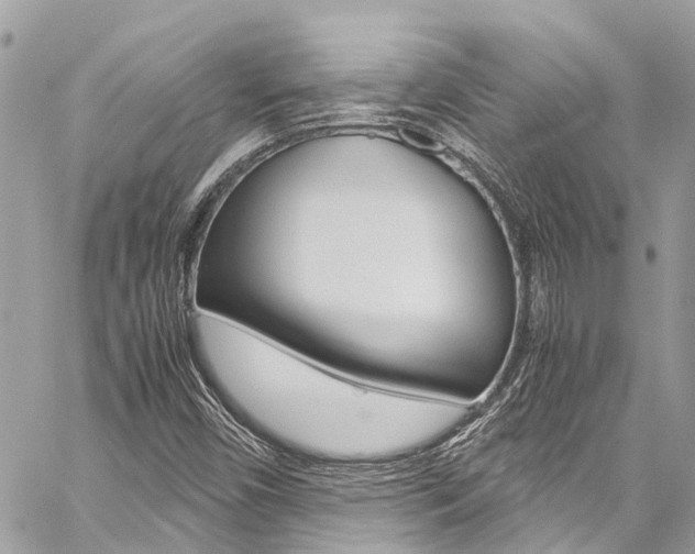 X0000059811450200510210910