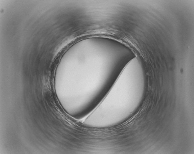X0000059811452200510210910