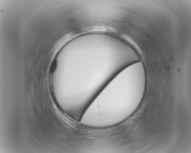 X0000059811475200510210909