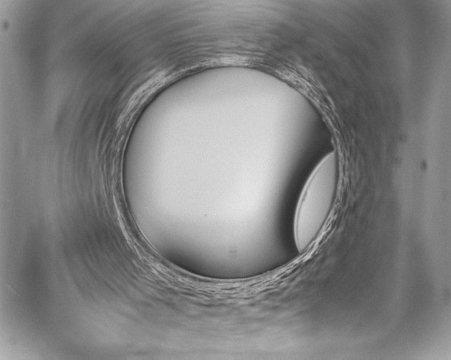 X0000059810001200510211128