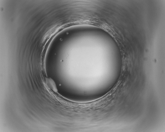 X0000059810002200510211128