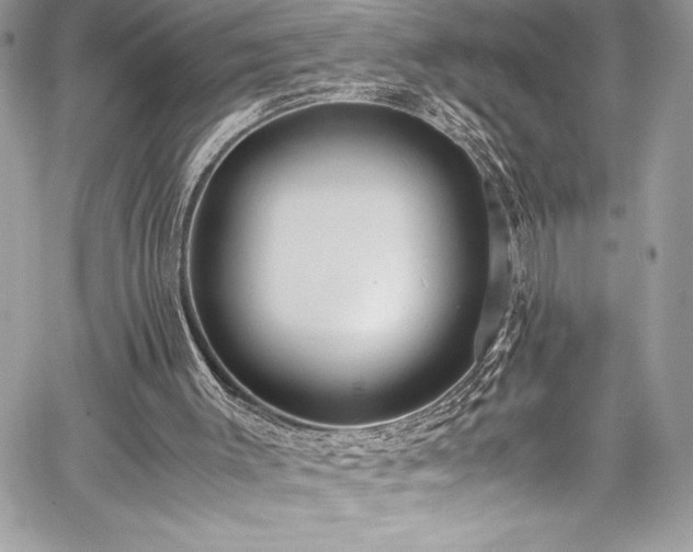 X0000059810003200510211128