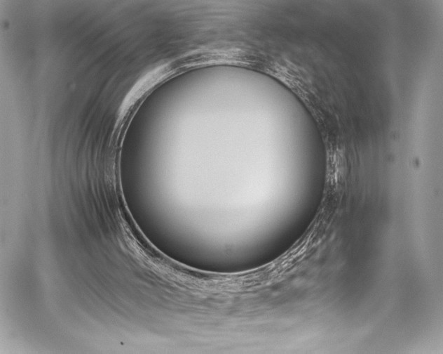 X0000059810004200510211128