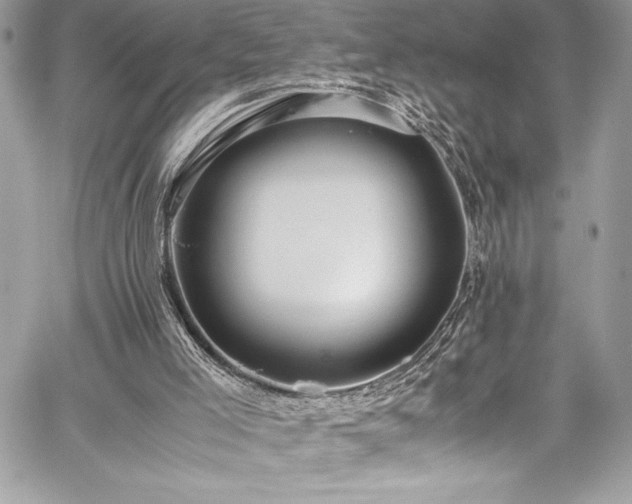 X0000059810005200510211128