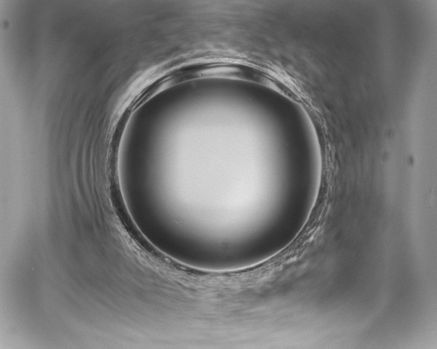 X0000059810007200510211128