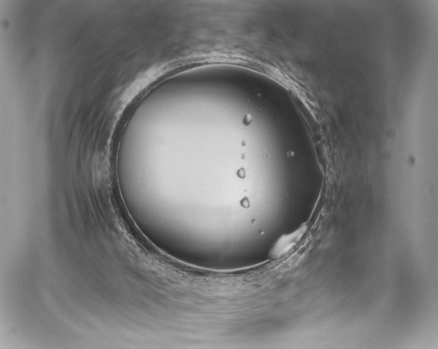 X0000059810008200510211128