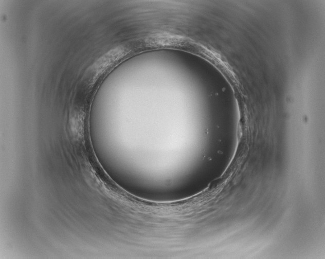 X0000059810010200510211128