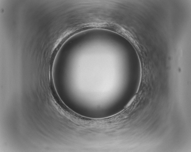 X0000059810011200510211128