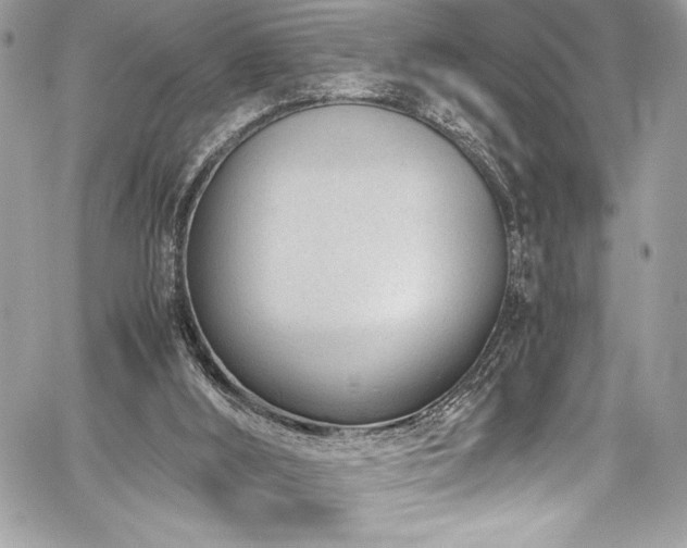 X0000059810012200510211128